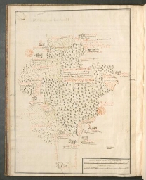 Recueil : [plans des parties de bois vendues au Sieur Planche en 1693, dans les maîtrises de Châteauroux et de Bommiers dessinés par Guérinot, arpenteur de M. le Prince]