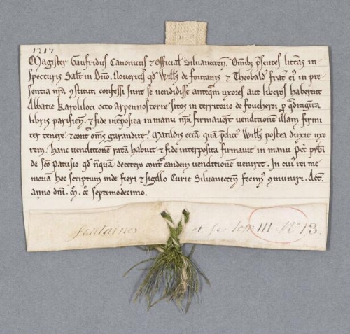 Charte de l'official de Senlis contenant vente par Guillaume de Fontaine et son frère Theobalde aux religieux de Chaalis