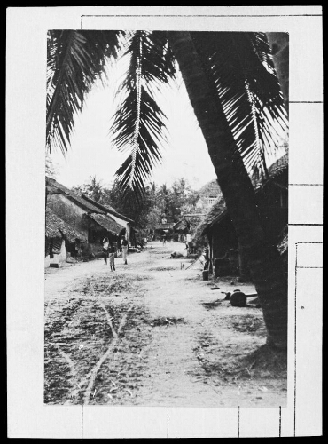 Village en Inde, palmier