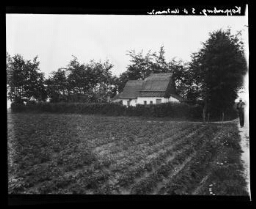 "Koppenberg, S. d'Audenarde" : promeneur sur un chemin bordant un champ labouré et une chaumière