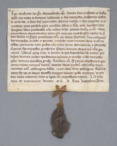 Charte de Geoffroy, évêque de Senlis, contenant acquisition par les religieux de Chaalis d'Eudes de Fontaine